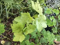2019-05-24 wer bin ich.webp