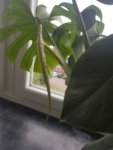 IMG-20190524-WA0006.jpg
