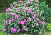 20190525_105147.webp