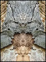 c035.webp