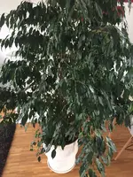 20190525_1814_4277.webp