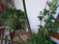 P1050840.webp