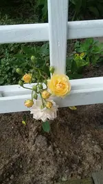 20190522_115213.webp