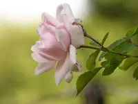 image001.webp