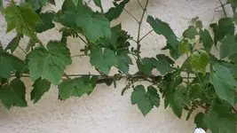 20190526_181123.webp
