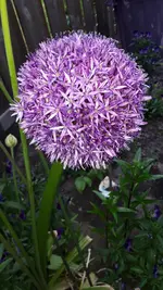 20190526_180956.webp