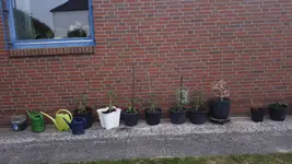 20190526_181234.webp
