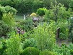 IMG_6683.JPG