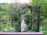 IMG_6684.JPG
