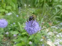 image032.webp
