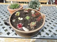 SAM_0932.webp