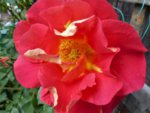 image001.jpg