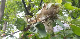 20190527_144203.webp