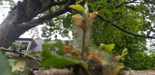 20190527_144216.webp