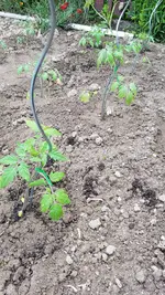 20190527_183121.webp