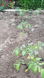 20190527_183136.webp