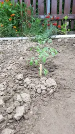 20190527_183144.webp