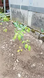 20190527_183208.webp