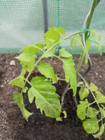 IMG_20190527_181610.webp