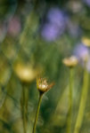 0M3A8657.jpg