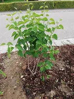 IMG_20190527_173953.webp