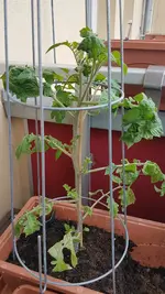 20190528_104212.webp