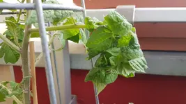 20190528_104229.webp