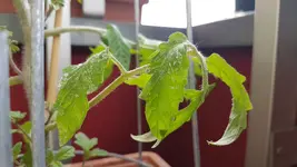 20190528_104250.webp