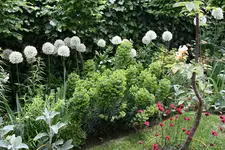 001.webp