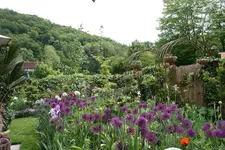 035.webp
