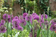 045.webp