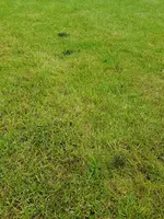 IMG-20190528-WA0010.webp