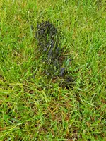 IMG-20190528-WA0011.webp