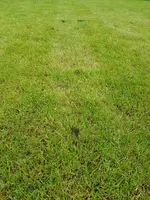 IMG-20190528-WA0012.webp