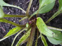 28_05_2019 (10).webp