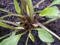 28_05_2019 (11).webp