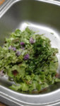 Salat.jpeg
