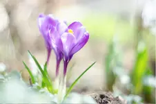 Snapshot(4).webp