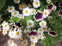 DSCI0171 (2).webp
