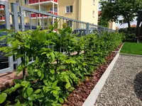 20190526_133345.jpg