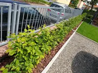 20190526_133352.webp
