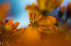 0M3A8491.webp