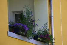 0M3A8805[1].webp
