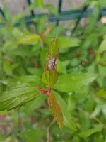 20190529_161138.jpg