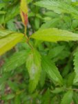 20190529_161130.jpg