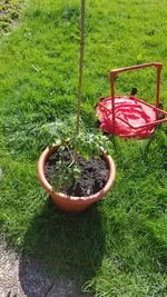 20190529_171307.webp