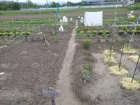 IMG_20190529_174151.webp