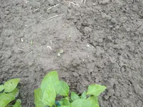 IMG_20190529_174622.webp