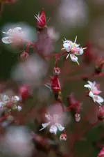 0M3A8816.JPG