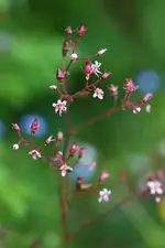 0M3A8814.webp